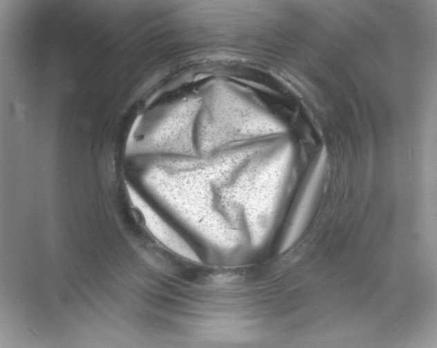X0000068720158200605192302