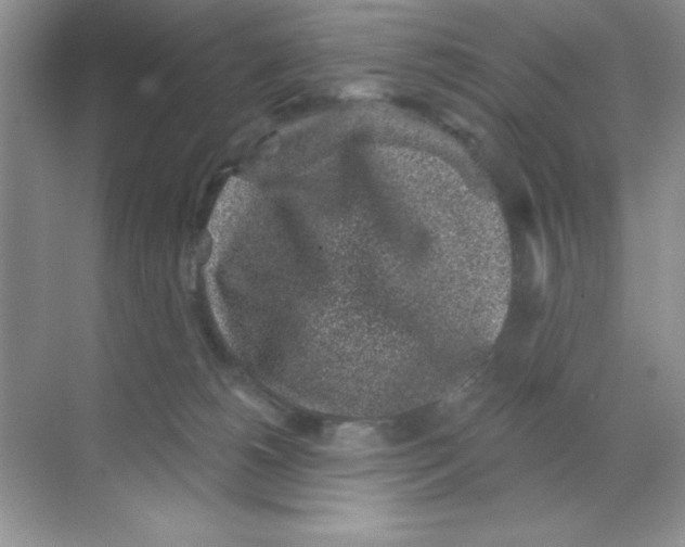 X0000068720180200605192303