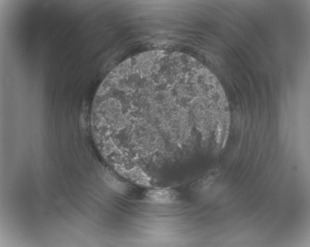 X0000068720181200605192303