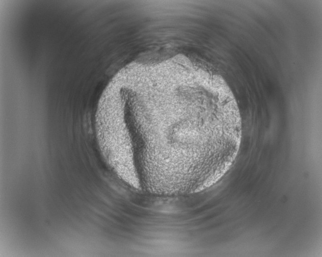 X0000068720182200605192303