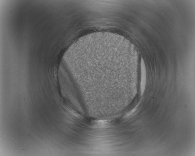 X0000068720184200605192303