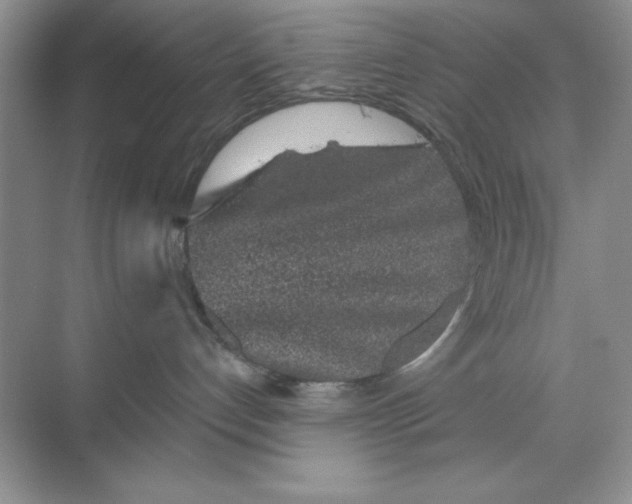X0000068720192200605192303
