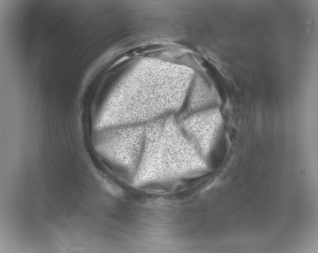 X0000068720197200605192302