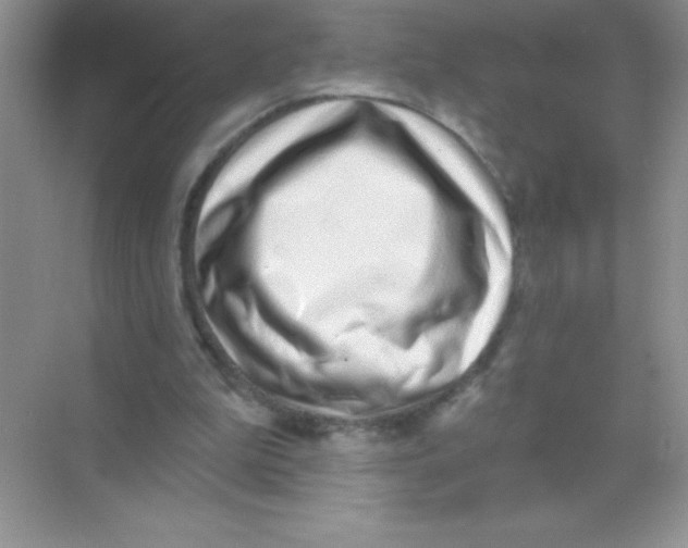 X0000068720199200605192302