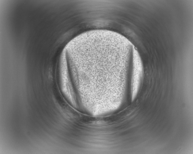 X0000068720212200605192302