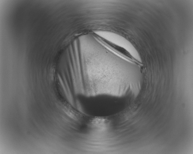 X0000068720227200605192301