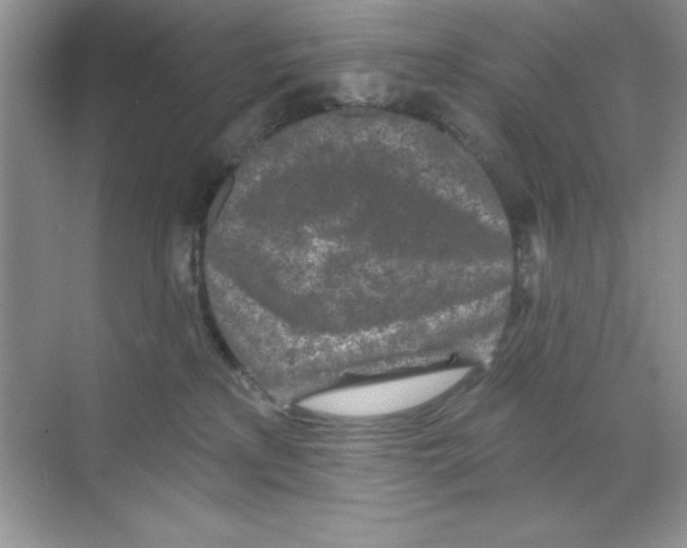 X0000068720233200605192301