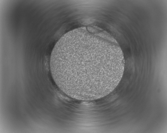 X0000068720234200605192301