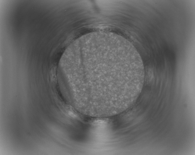 X0000068720236200605192301