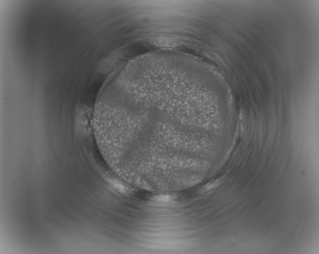 X0000068720237200605192301