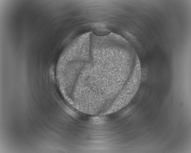 X0000068720238200605192301