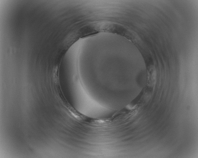 X0000068720239200605192301