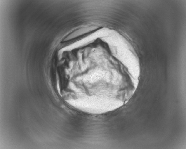X0000068720241200605192300