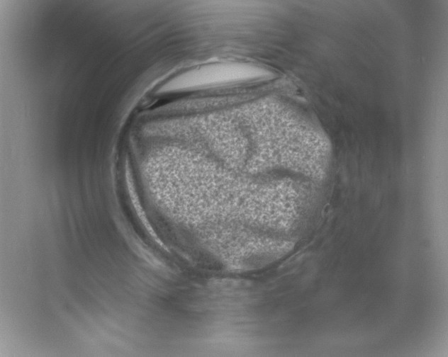 X0000068720242200605192300