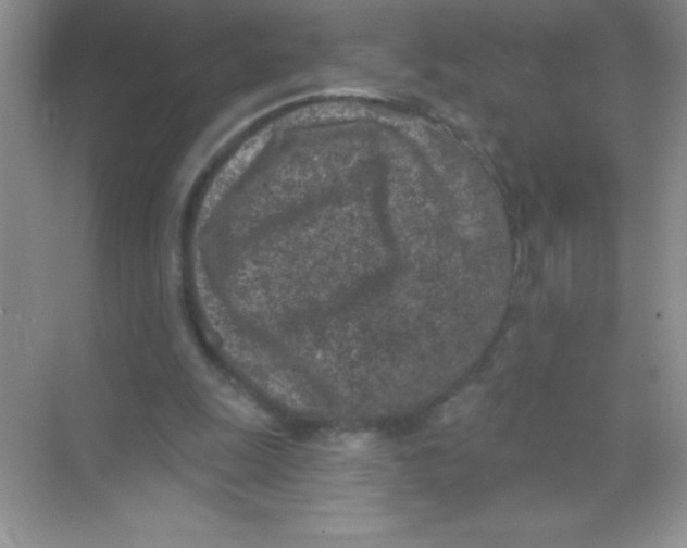 X0000068720247200605192300