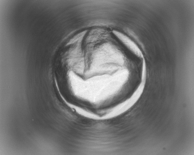 X0000068720249200605192300