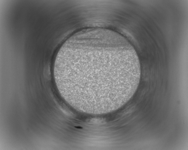 X0000068720251200605192300