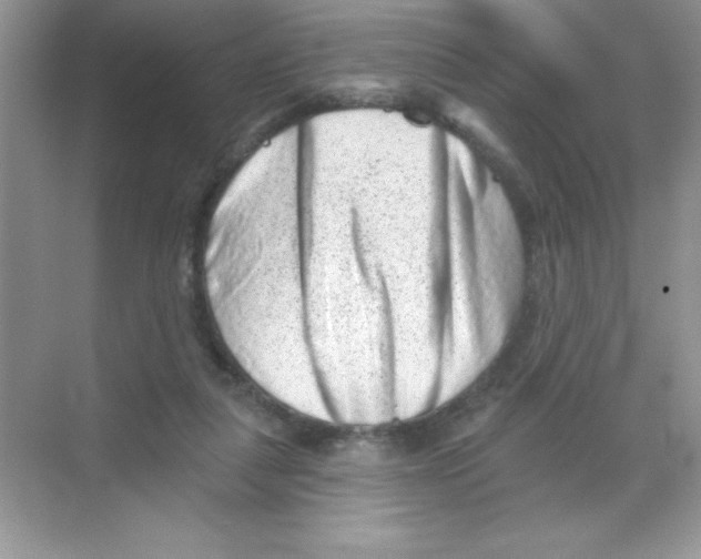X0000068720259200605192301