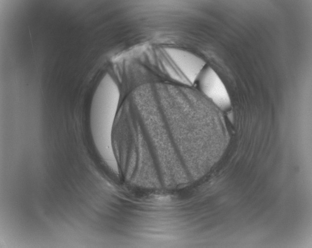 X0000068720260200605192301