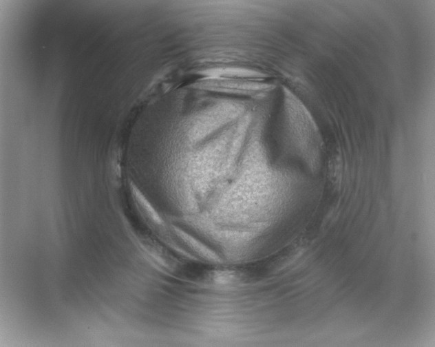 X0000068720264200605192301