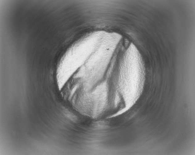 X0000068720269200605192301