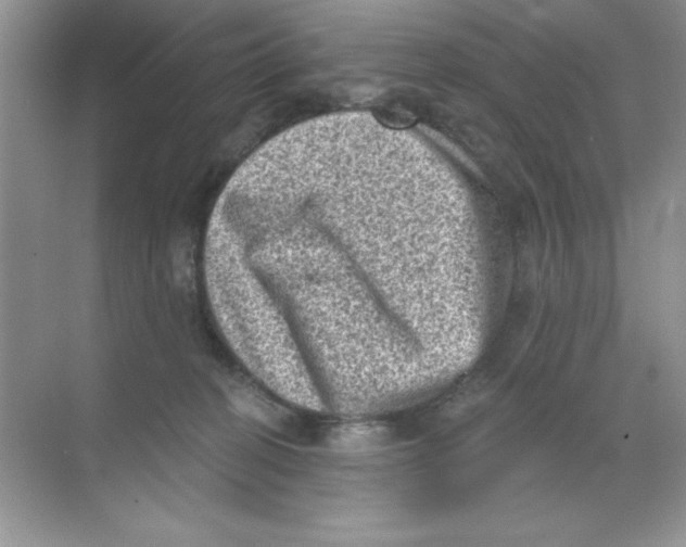 X0000068720274200605192301