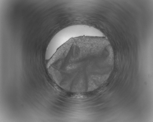 X0000068720276200605192301