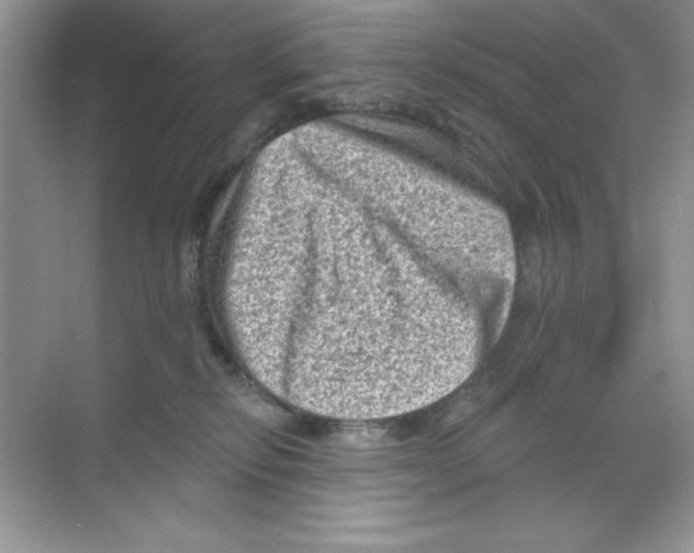 X0000068720278200605192301