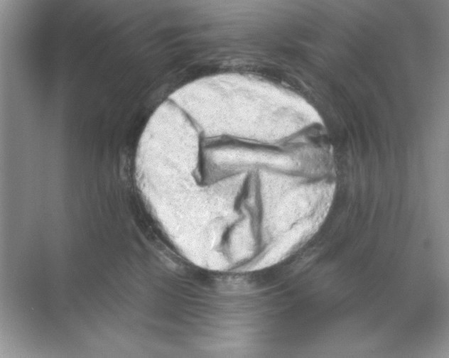 X0000068720281200605192301