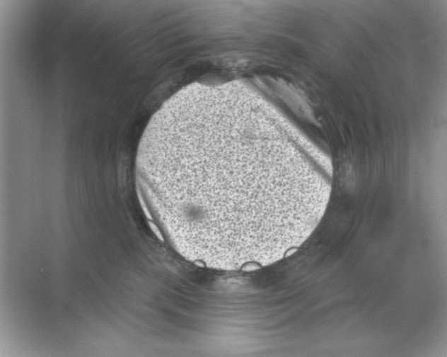 X0000068720283200605192301