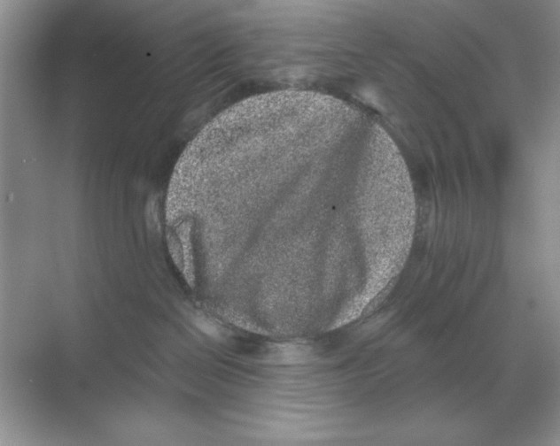 X0000068720286200605192301