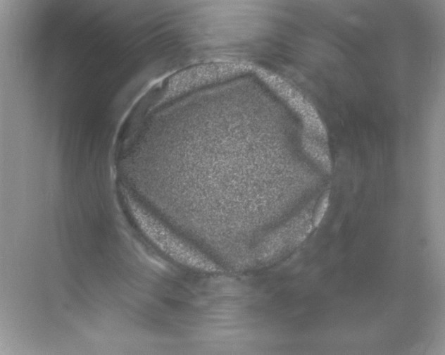 X0000068720290200605192300
