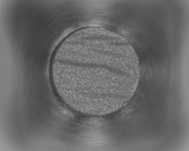 X0000068720292200605192300