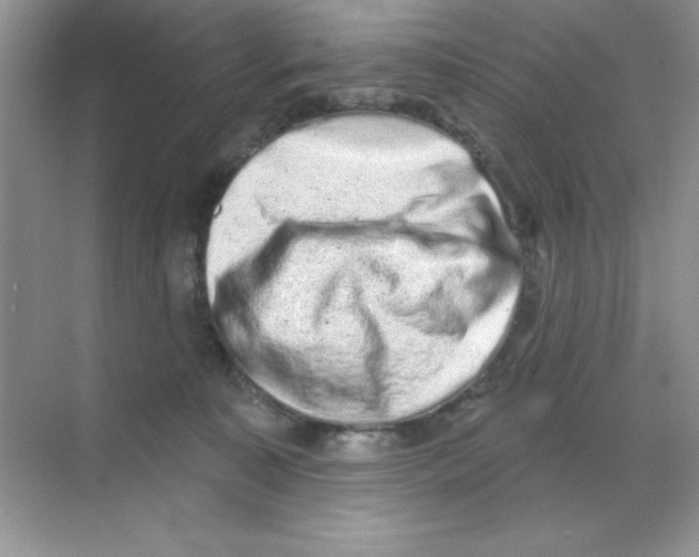 X0000068720323200605192300