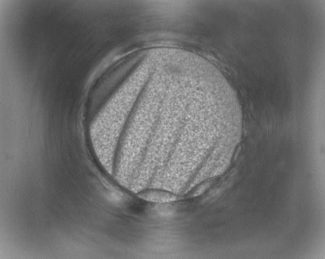 X0000068720341200605192259