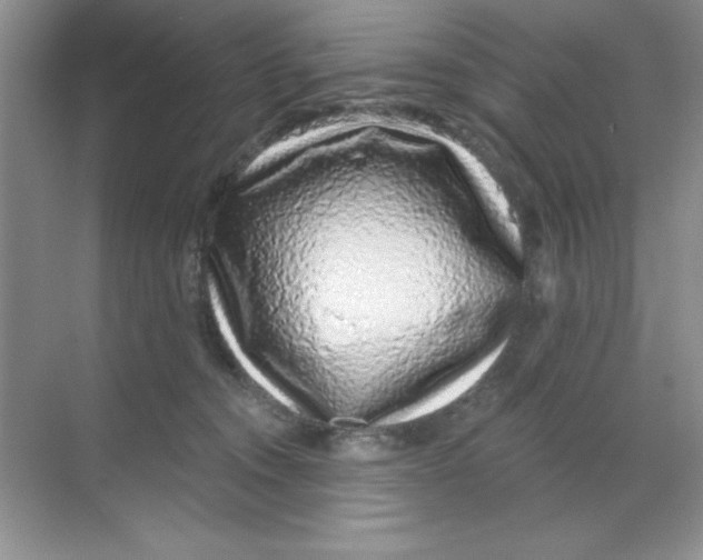 X0000068720372200605192259
