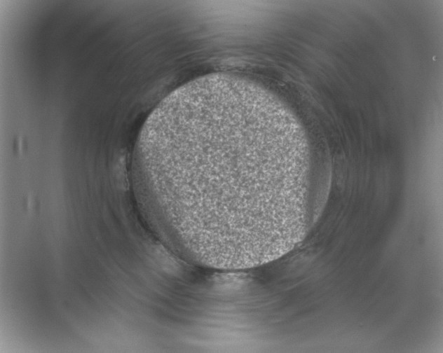 X0000068720378200605192259