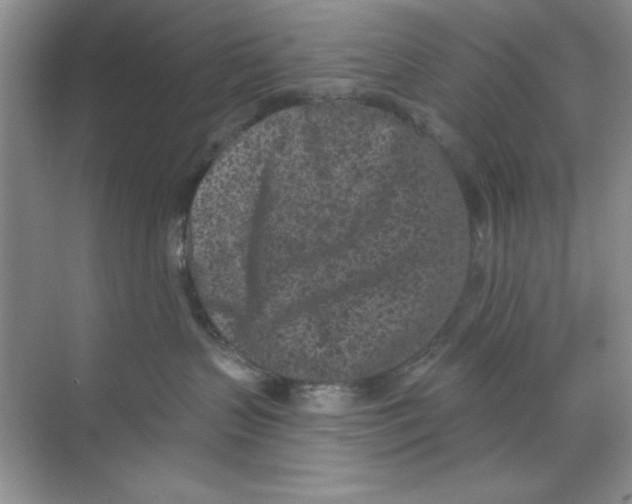 X0000068720383200605192259