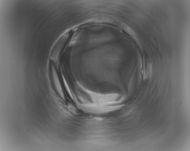 X0000068720387200605192259