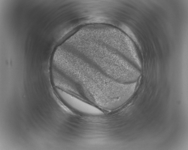 X0000068720389200605192259