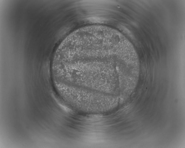 X0000068720398200605192258