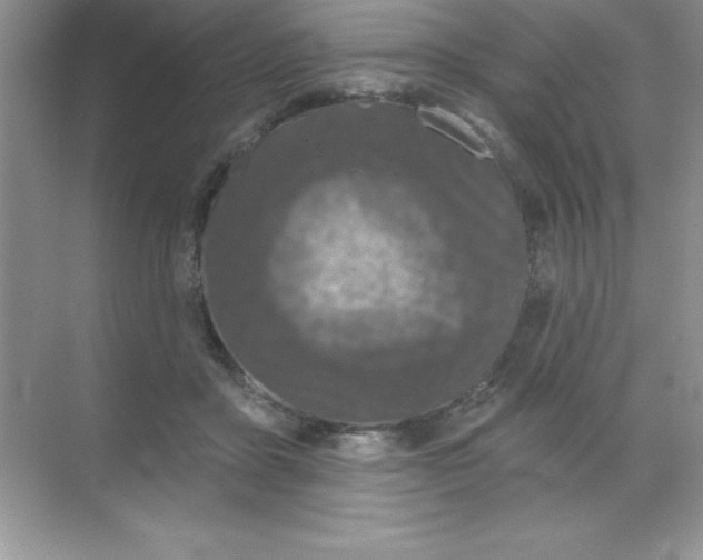 X0000068720411200605192258