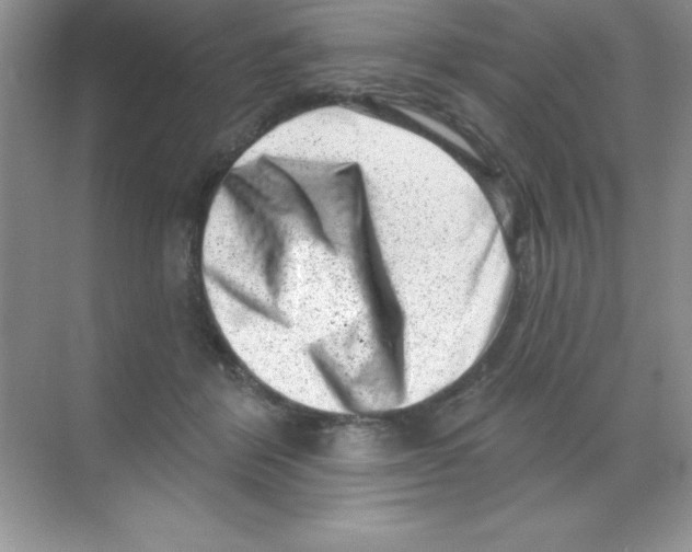 X0000068720412200605192258