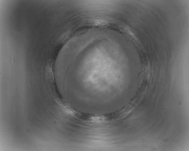 X0000068720415200605192258