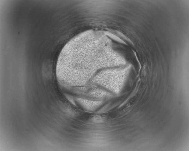 X0000068720416200605192258