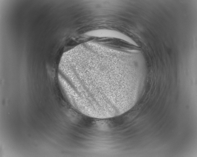 X0000068720417200605192258