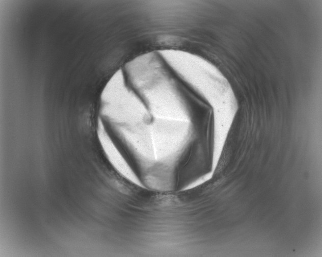 X0000068720424200605192258