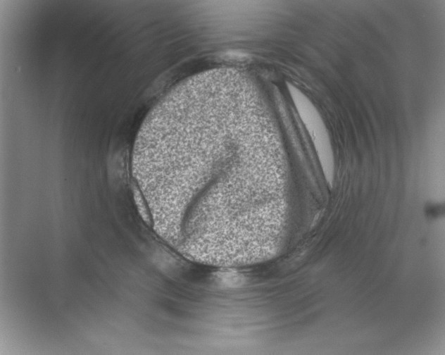 X0000068720425200605192258