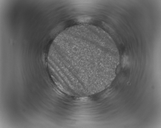 X0000068720428200605192258