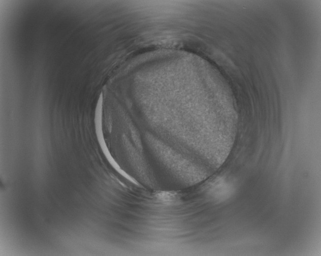 X0000068720432200605192258